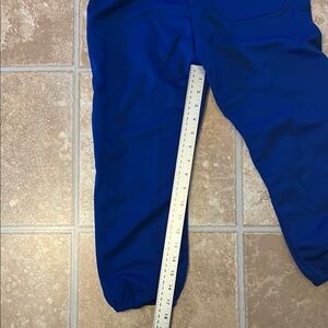 Royal  Blue youth baseball pants NWOT excellent condition